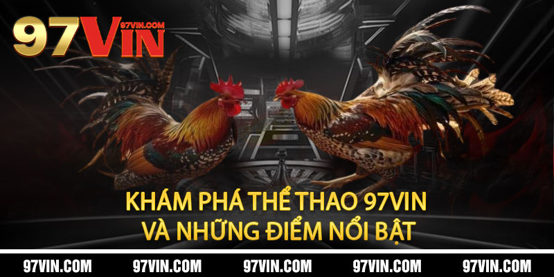 Đá Gà 97Vin - Cực phẩm đấu trường, thưởng thức đỉnh cao 1 Đá Gà 97Vin: Khám Phá Nền Tảng Cá Cược Trực Tuyến Hàng Đầu